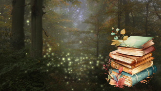 stack of books, dark forest with sparkles/light